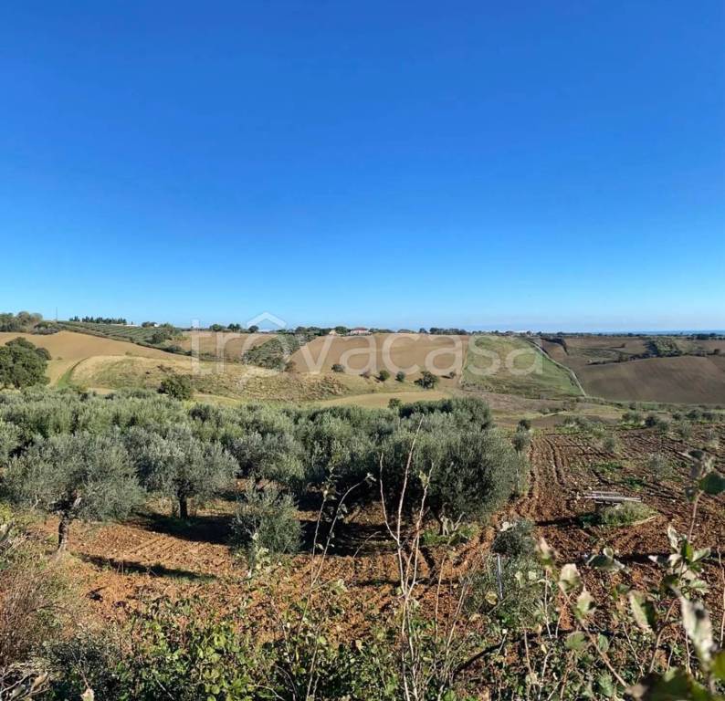 immagine annuncio 9 di 14