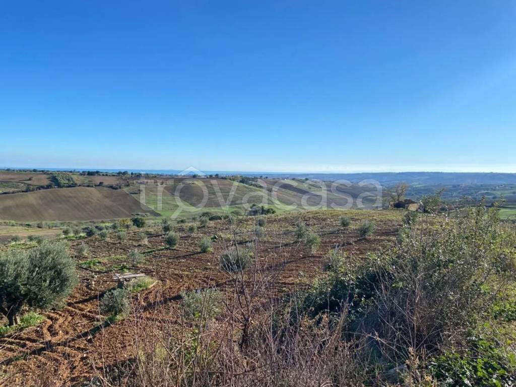 immagine annuncio 10 di 14