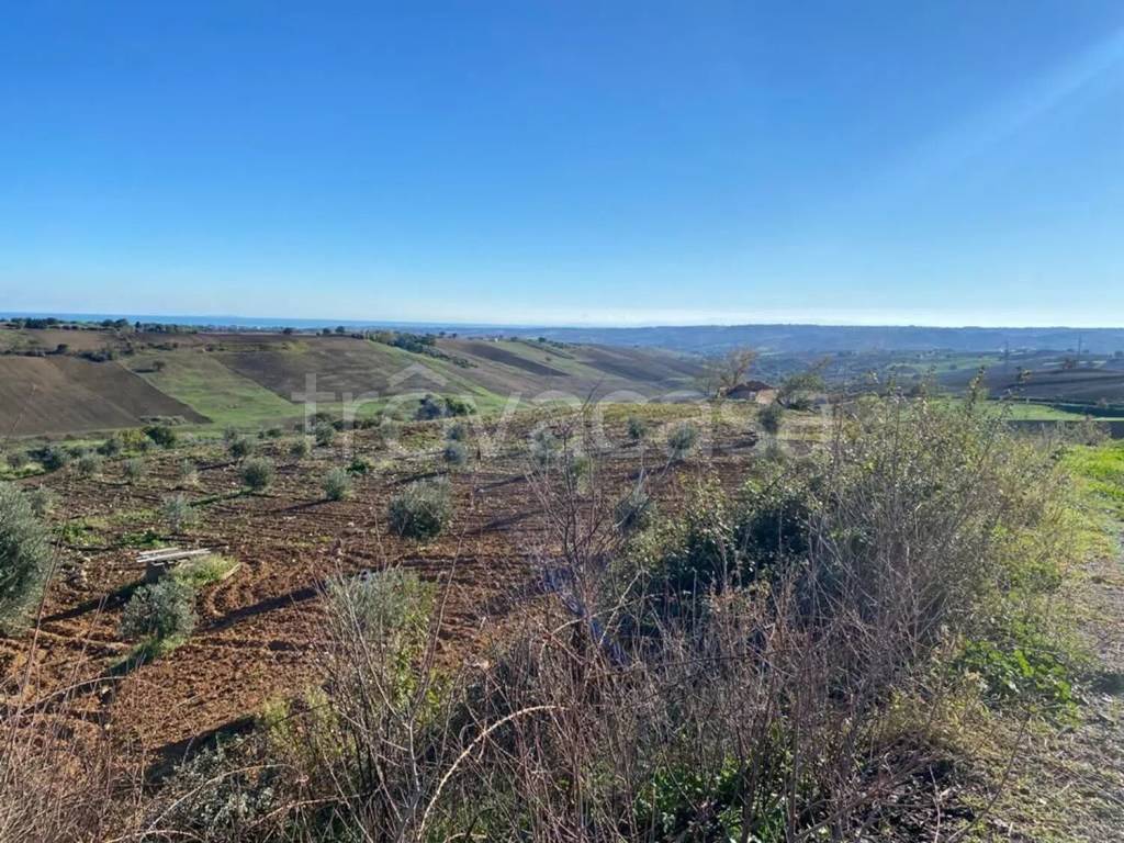 immagine annuncio 11 di 14