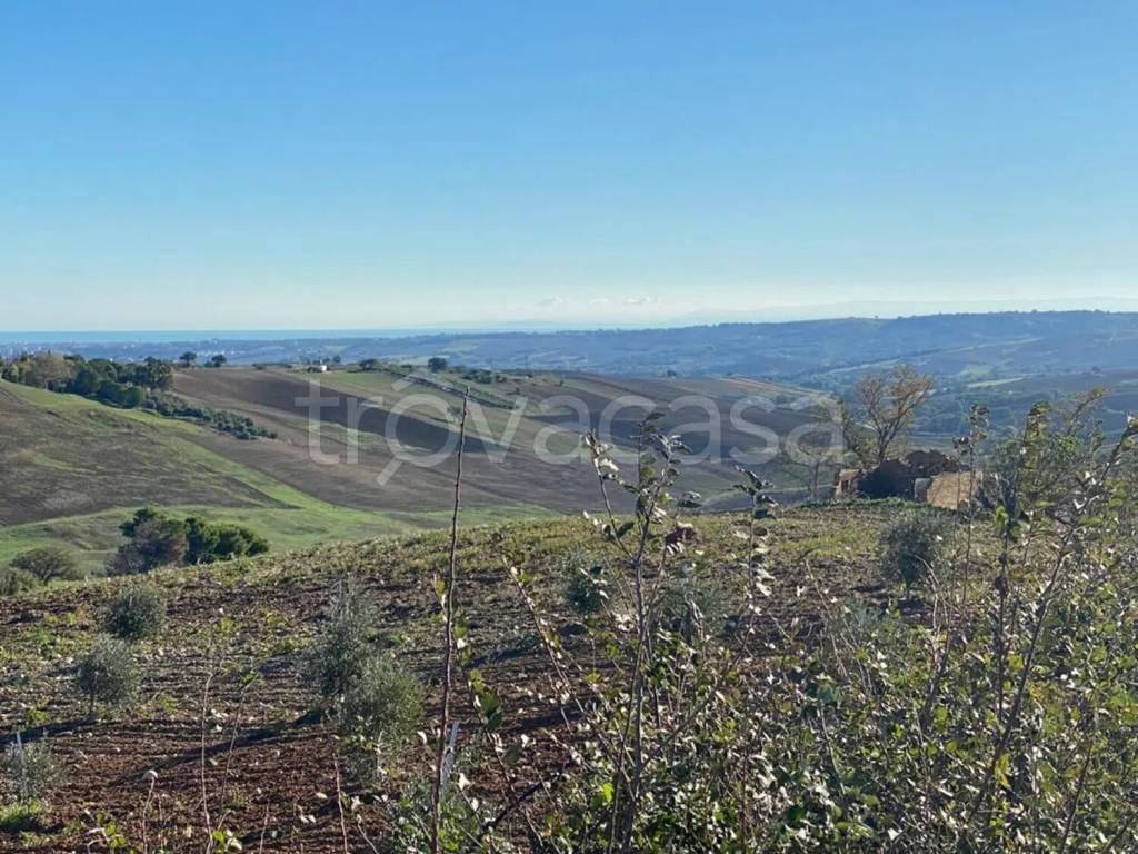 immagine annuncio 12 di 14