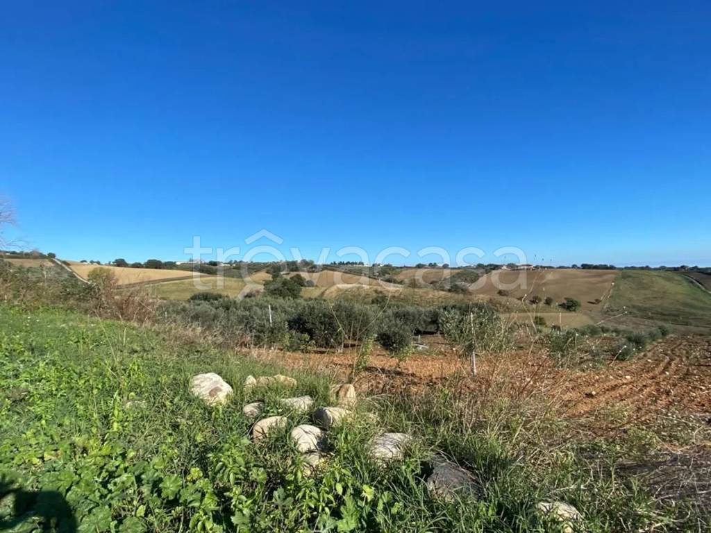 immagine annuncio 13 di 14