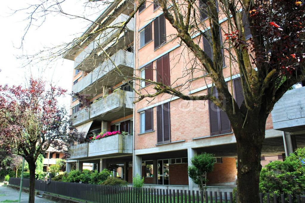 immagine annuncio 10 di 12