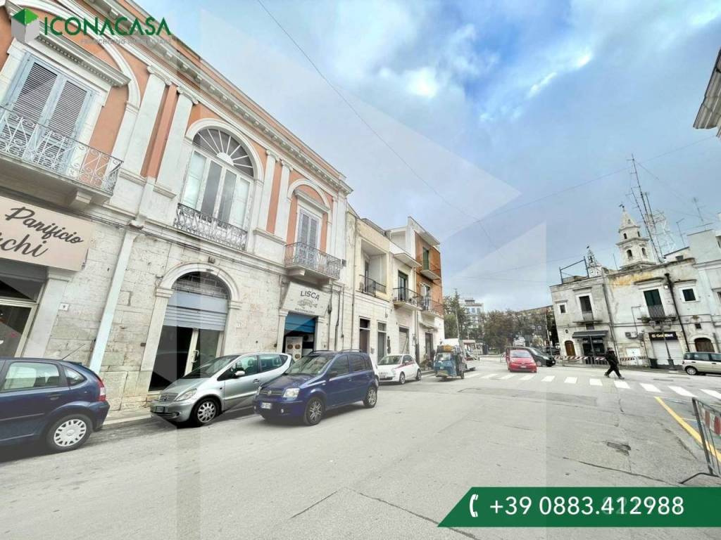 immagine annuncio 12 di 13