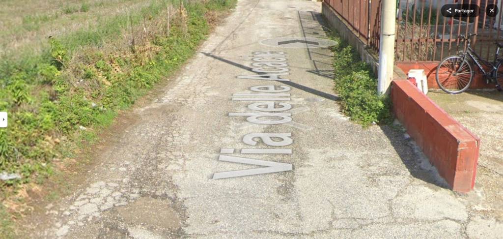 immagine annuncio 3 di 13