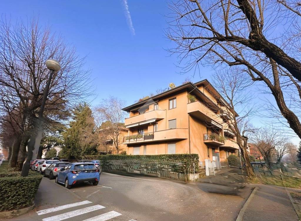 immagine annuncio 12 di 13