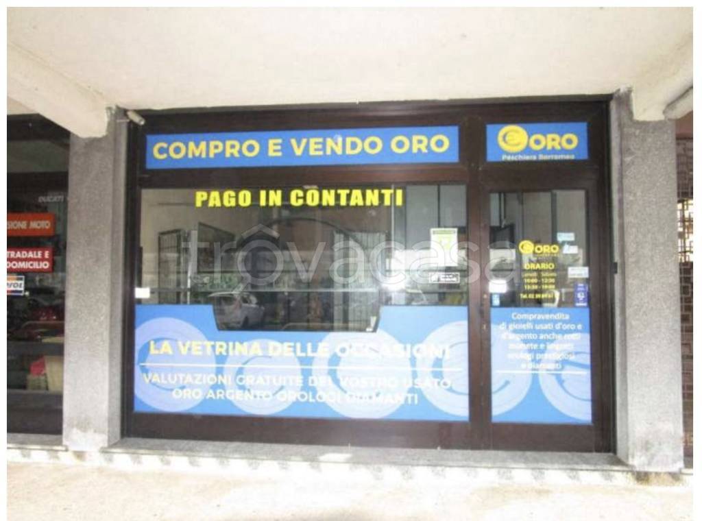 immagine annuncio 1 di 13