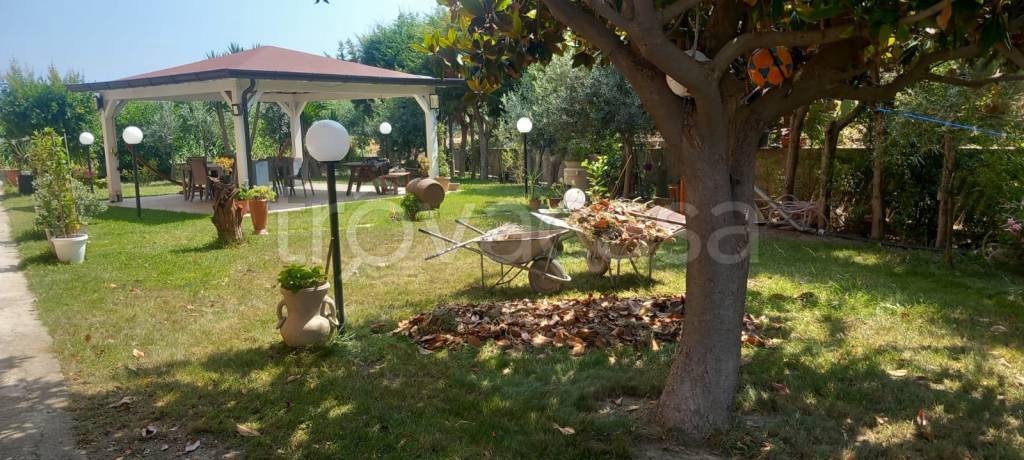 immagine annuncio 2 di 9