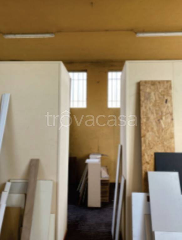 immagine annuncio 5 di 12