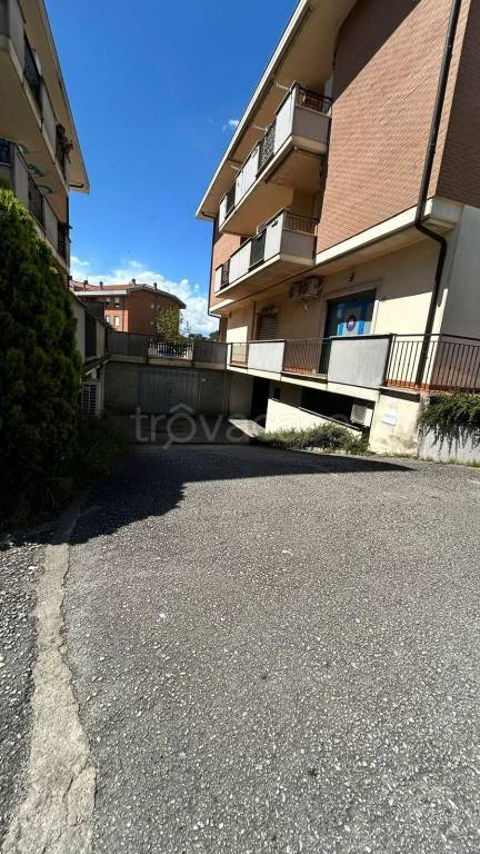 immagine annuncio 7 di 12