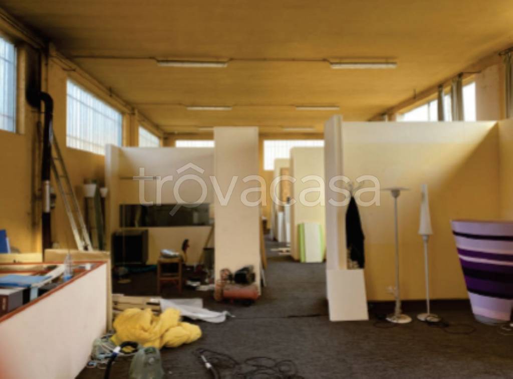 immagine annuncio 9 di 12