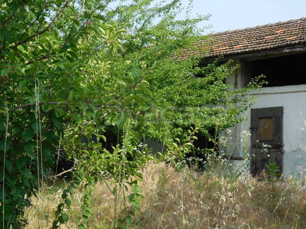 immagine annuncio 9 di 14