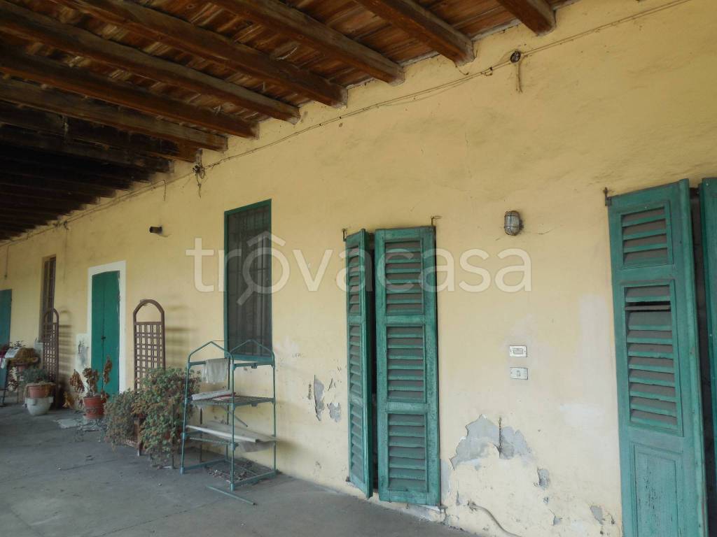 immagine annuncio 10 di 14