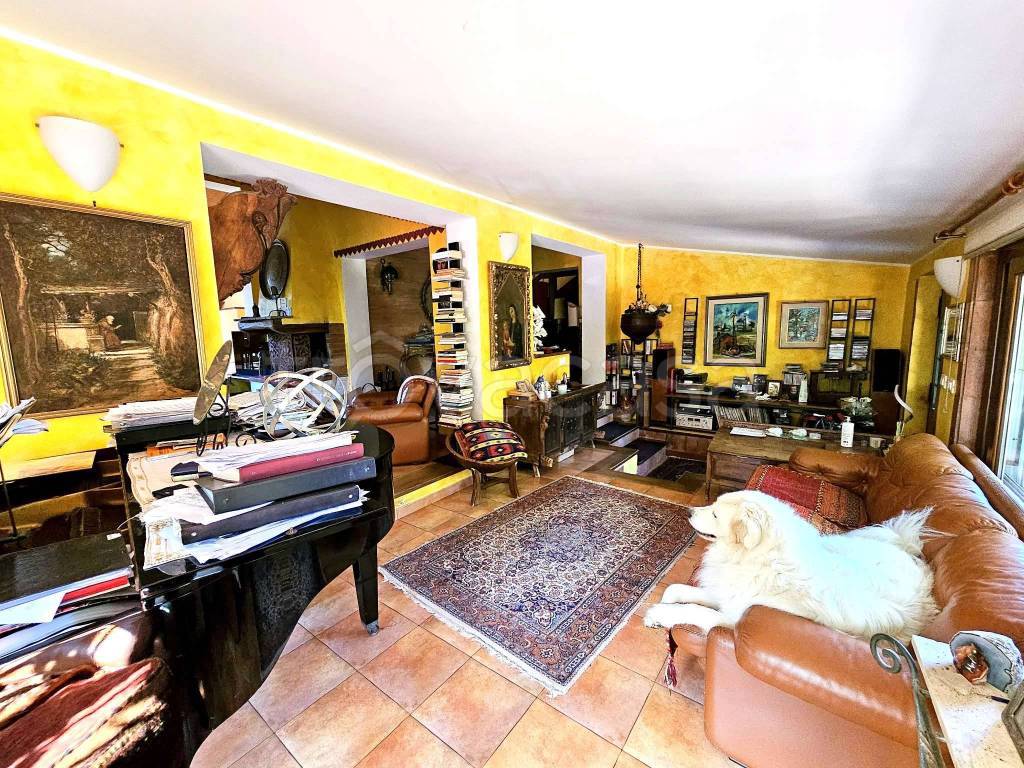 immagine annuncio 8 di 15