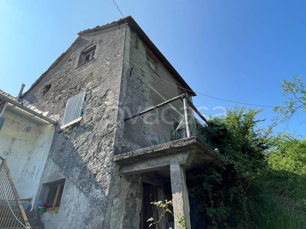 immagine annuncio 1 di 7