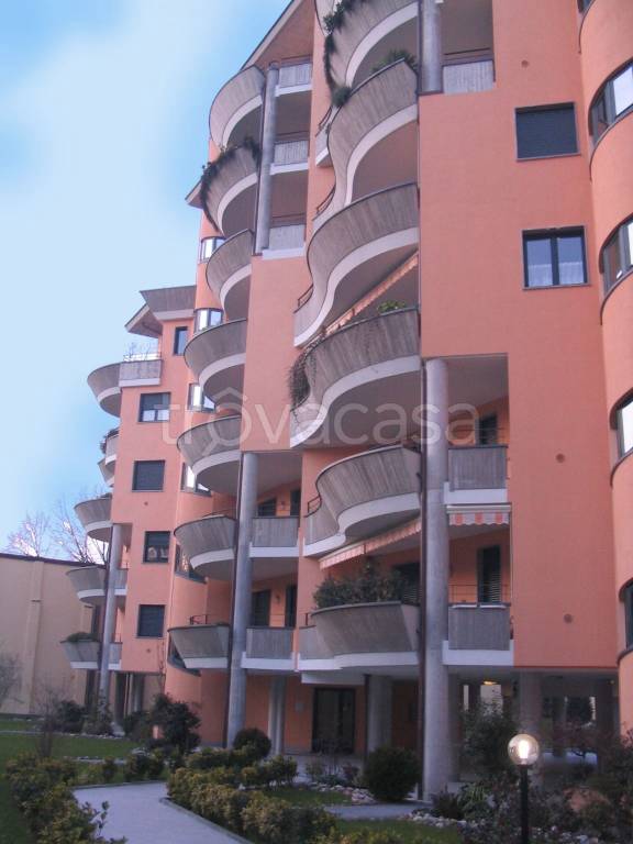 immagine annuncio 10 di 11