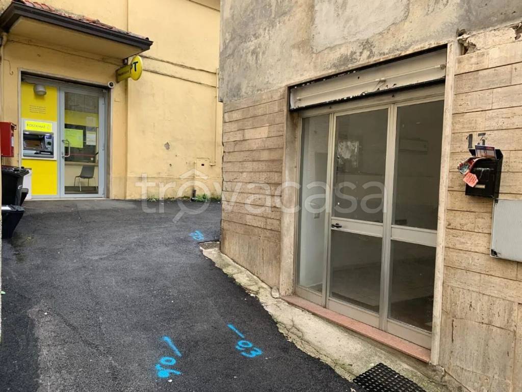 immagine annuncio 2 di 14