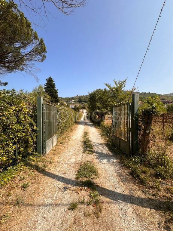 immagine annuncio 8 di 9