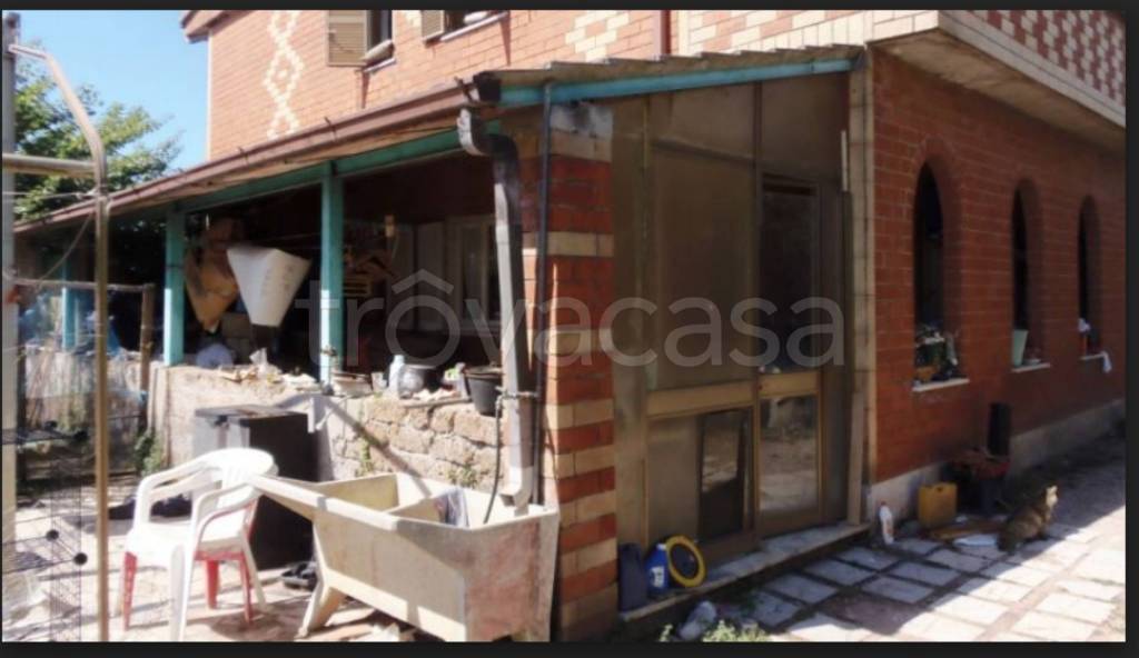 immagine annuncio 9 di 12