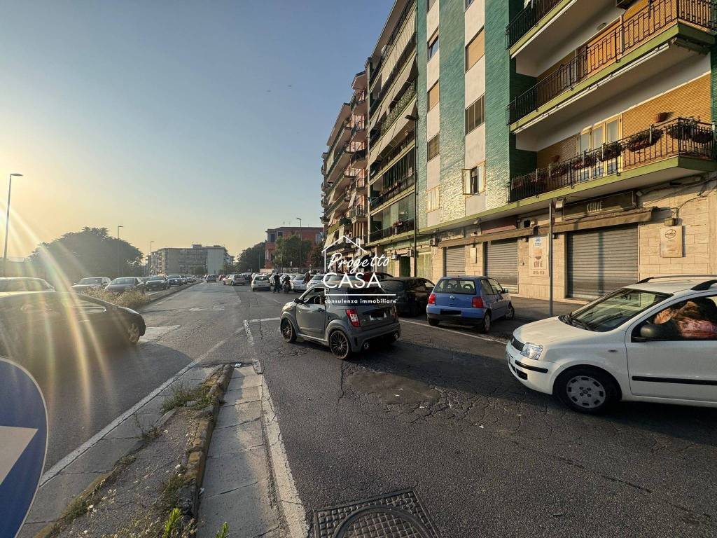 immagine annuncio 7 di 14