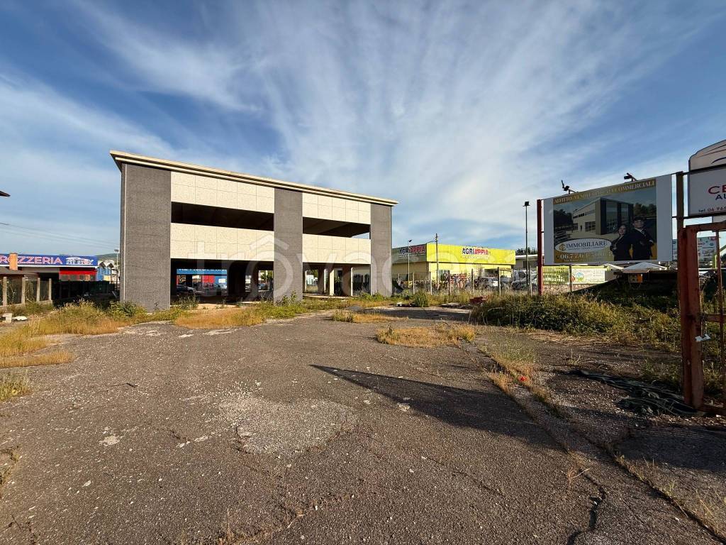 immagine annuncio 1 di 9