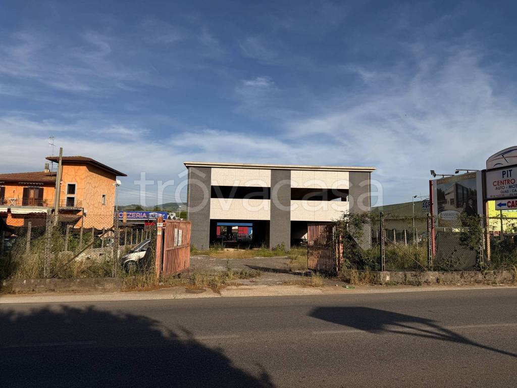 immagine annuncio 3 di 9