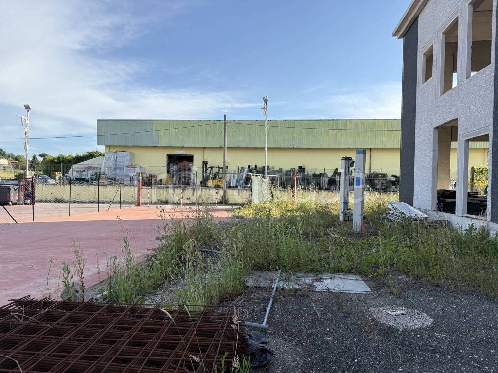 immagine annuncio 6 di 9