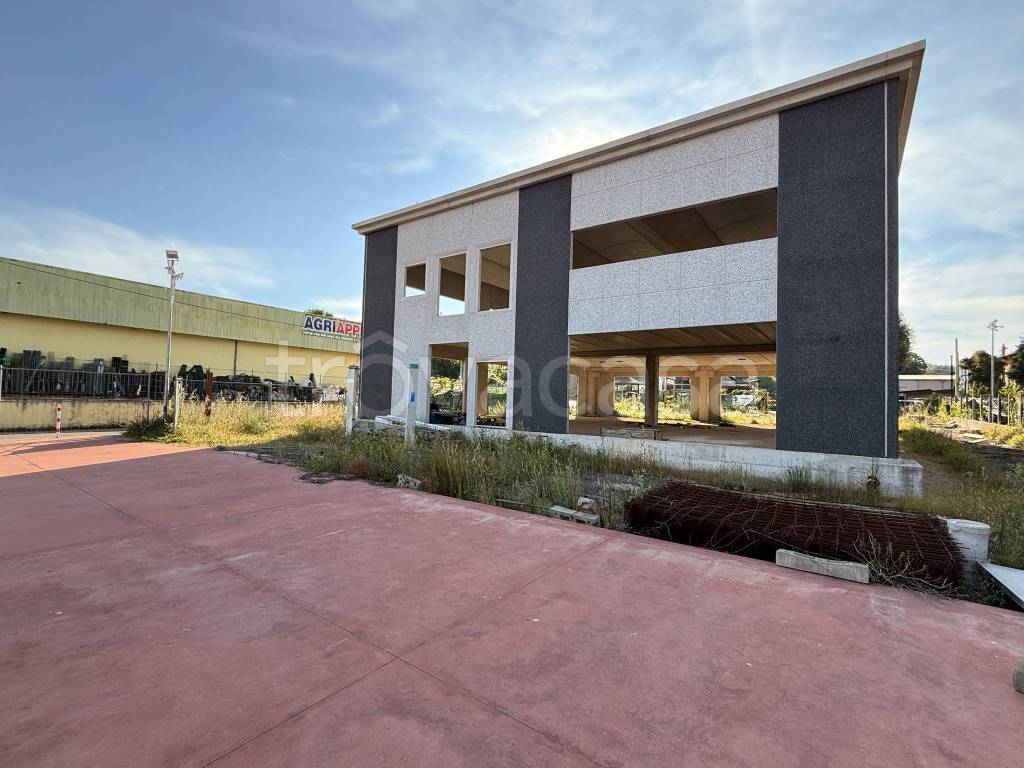 immagine annuncio 7 di 9