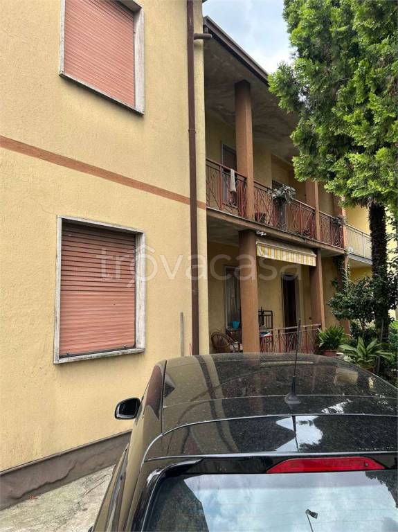immagine annuncio 7 di 8