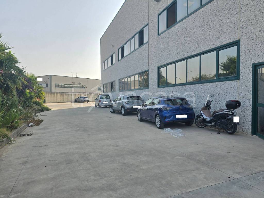 immagine annuncio 3 di 8