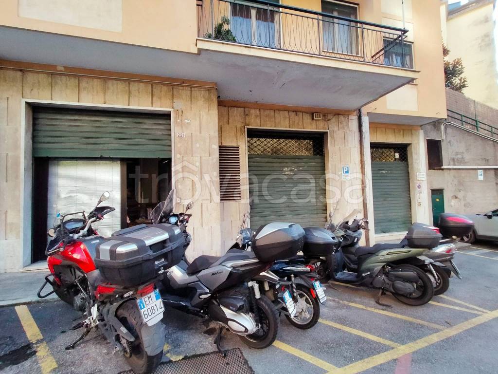 immagine annuncio 9 di 13