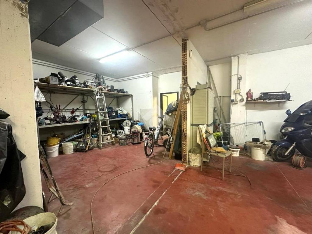 immagine annuncio 5 di 14