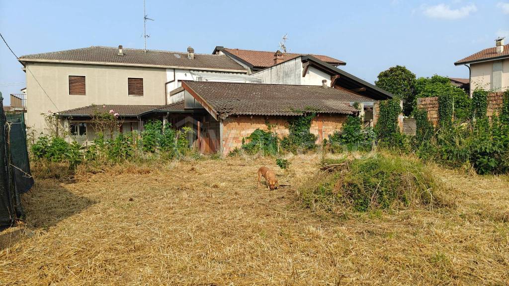 immagine annuncio 6 di 15