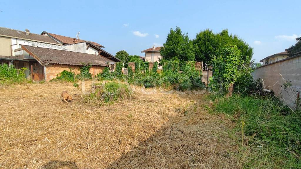 immagine annuncio 7 di 15