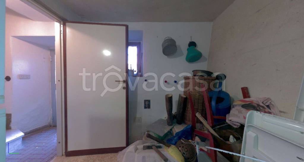 immagine annuncio 9 di 14