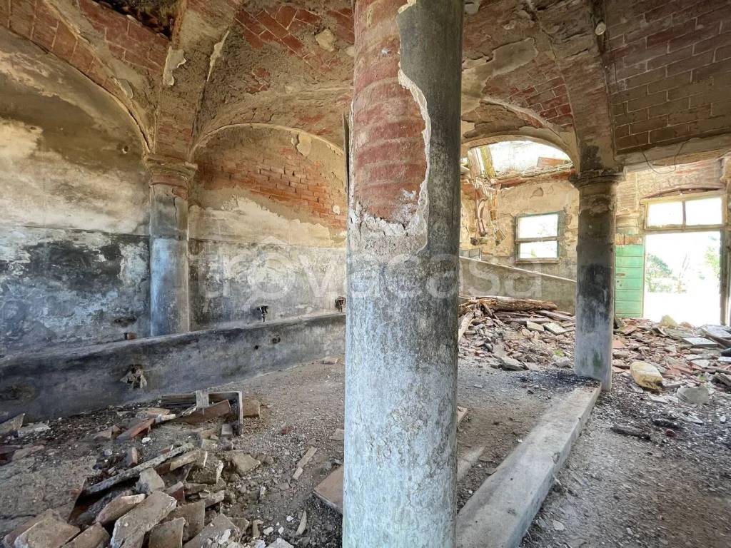 immagine annuncio 3 di 12