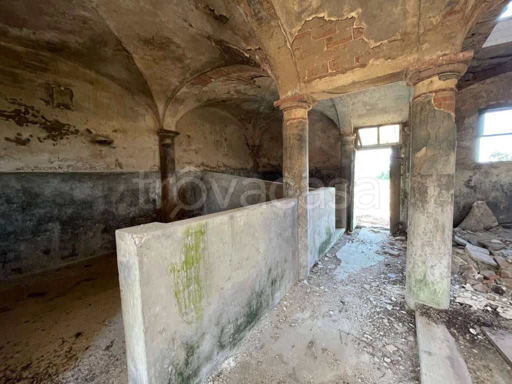 immagine annuncio 6 di 12