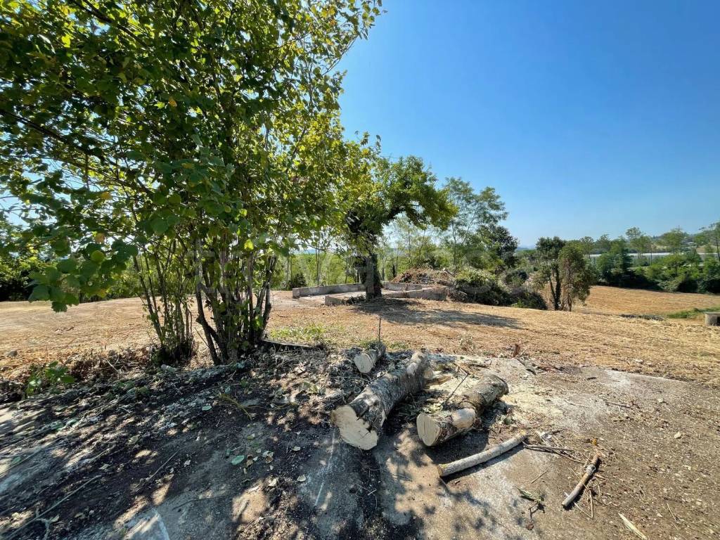 immagine annuncio 7 di 12