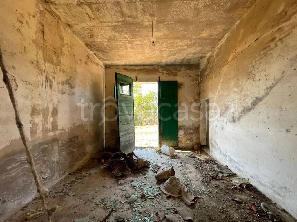 immagine annuncio 9 di 12