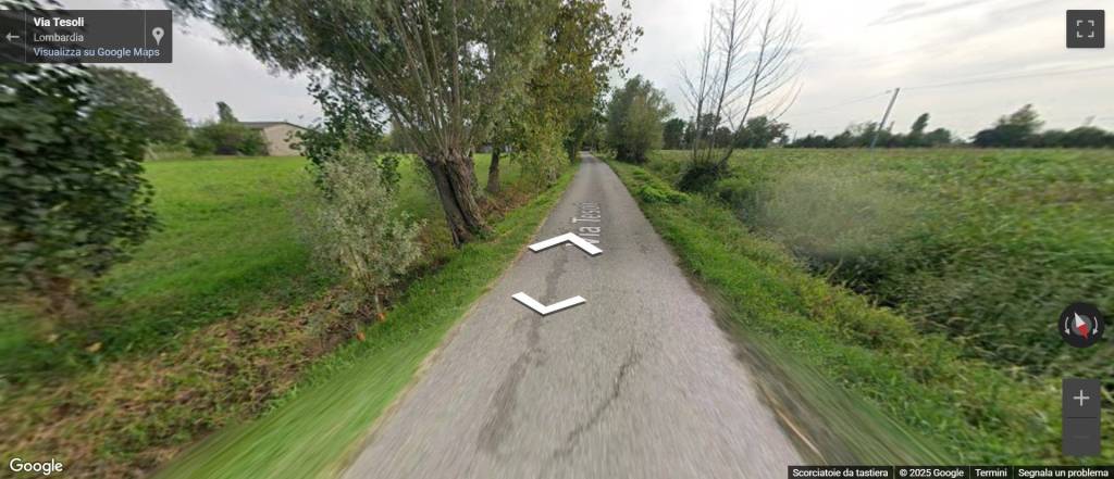 immagine annuncio 4 di 13