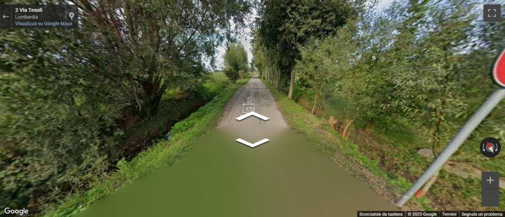 immagine annuncio 7 di 13