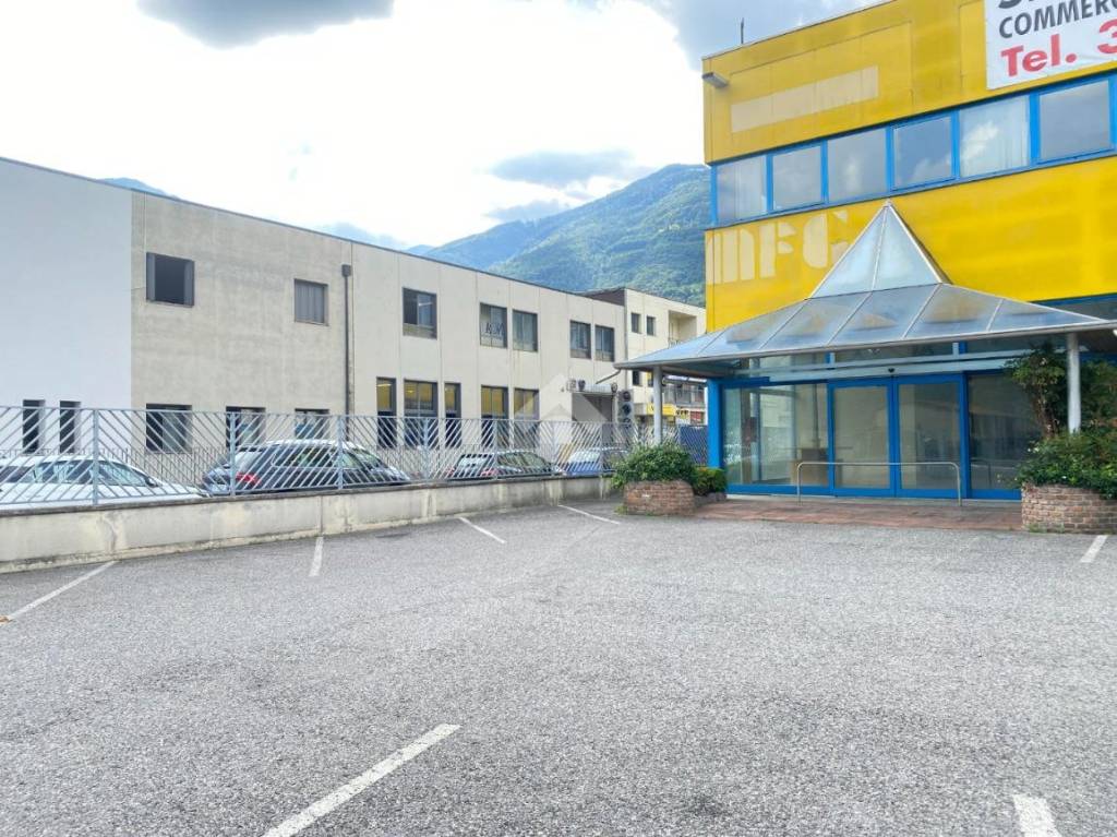 immagine annuncio 12 di 15