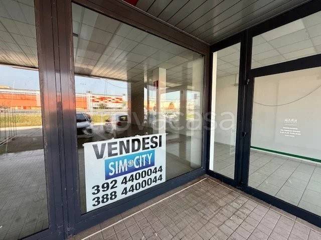 immagine annuncio 1 di 4
