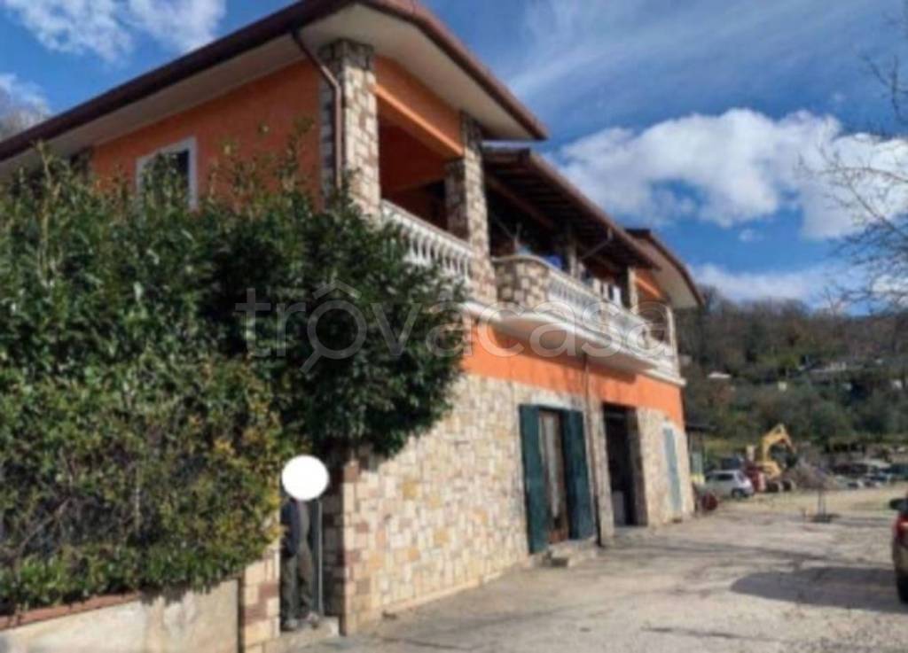 immagine annuncio 11 di 13