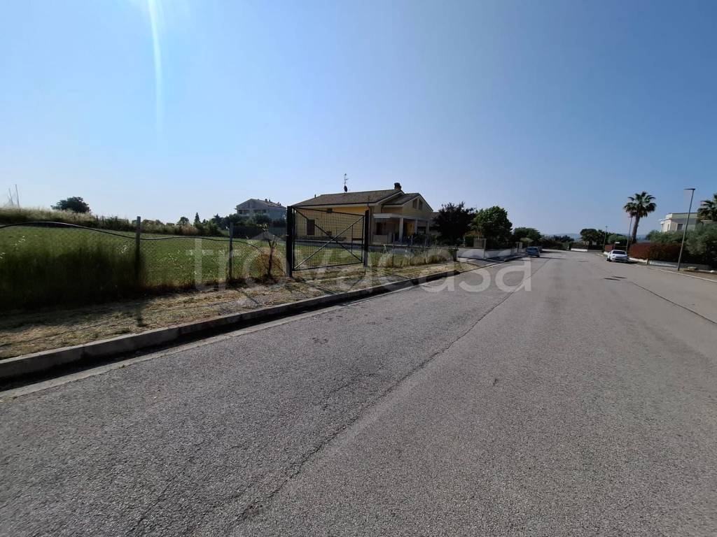 immagine annuncio 5 di 6
