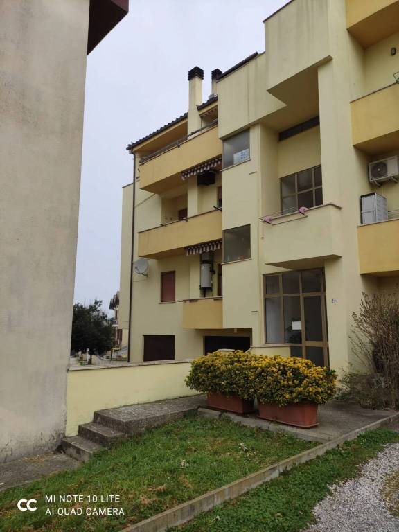 immagine annuncio 8 di 13