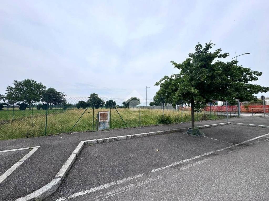 immagine annuncio 6 di 11