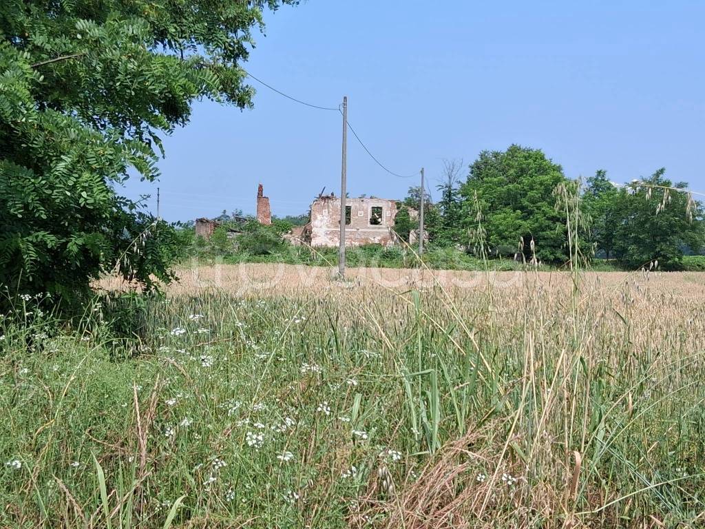 immagine annuncio 7 di 12