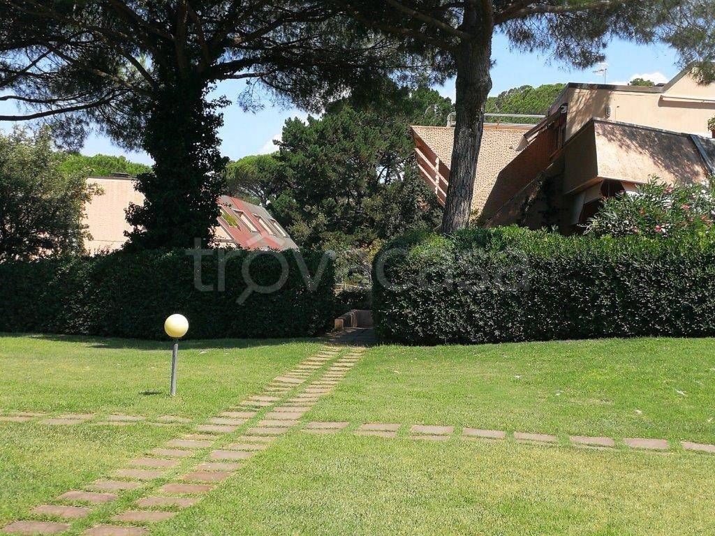 immagine annuncio 6 di 8