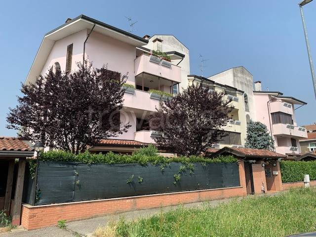 immagine annuncio 2 di 12