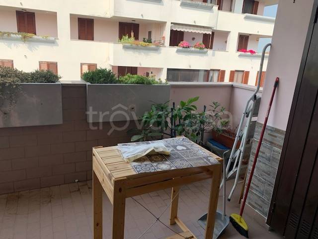 immagine annuncio 7 di 12